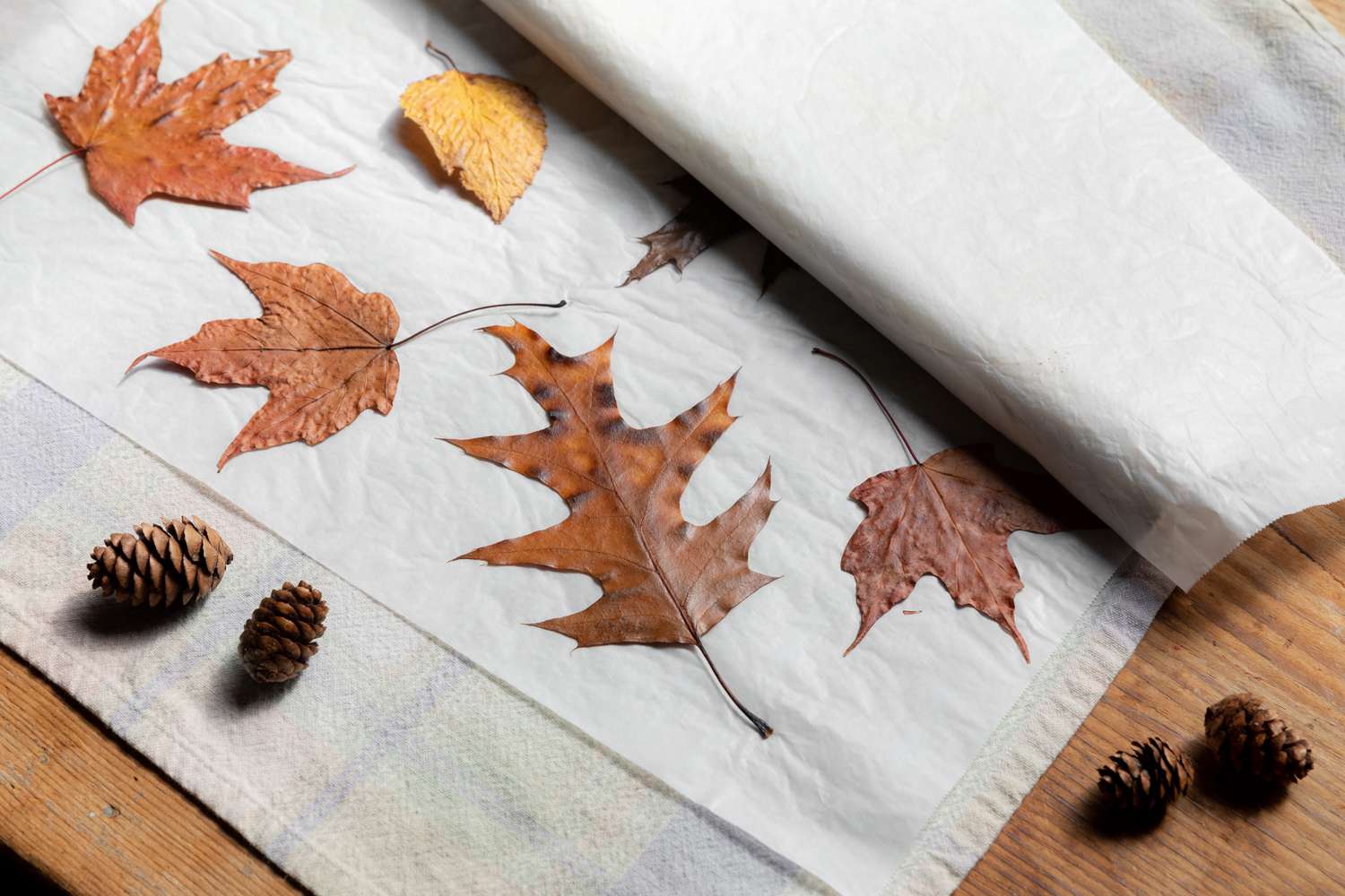 pressing fall leaves craft