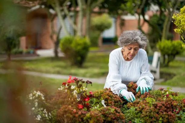 outdoor activities for seniors